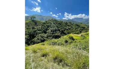 Tu hogar ideal en San Jerónimo: ¡Lotes exclusivos!