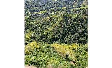 Tu hogar ideal en San Jerónimo: ¡Lotes exclusivos!