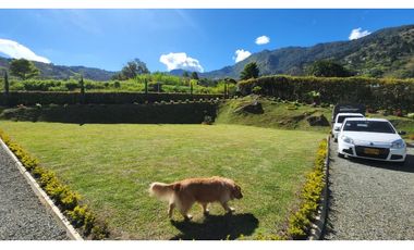 Venta Casa Lote Copacabana Noral P1 C6502562