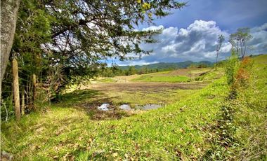 Venta Lote 100% Aprovechable Parcelacion Sector Fizebad El Retiro