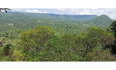 Finca Con Hermosa Vista - Para Proyecto Turístico
