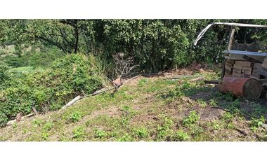 Finca Con Hermosa Vista - Para Proyecto Turístico
