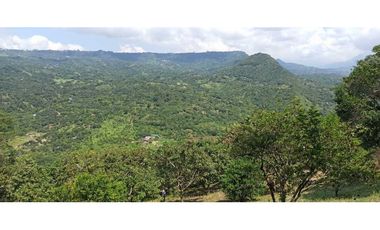 Finca Con Hermosa Vista - Para Proyecto Turístico