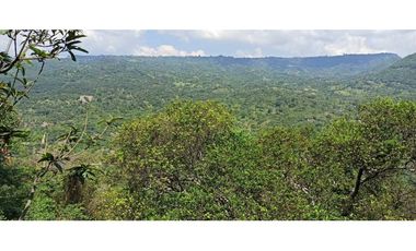 Finca Con Hermosa Vista - Para Proyecto Turístico