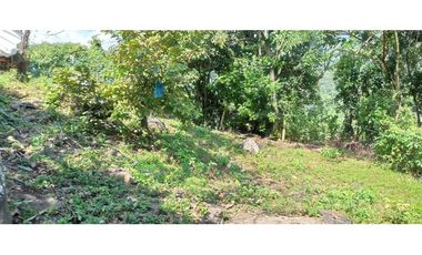 Finca Con Hermosa Vista - Para Proyecto Turístico