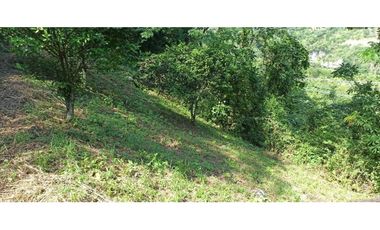 Finca Con Hermosa Vista - Para Proyecto Turístico