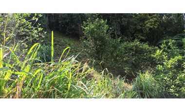 Finca Con Hermosa Vista - Para Proyecto Turístico