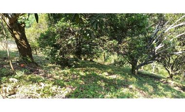 Finca Con Hermosa Vista - Para Proyecto Turístico