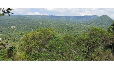 Finca Con Hermosa Vista - Para Proyecto Turístico