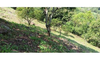 Finca Con Hermosa Vista - Para Proyecto Turístico