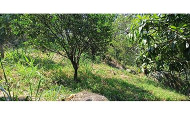 Finca Con Hermosa Vista - Para Proyecto Turístico
