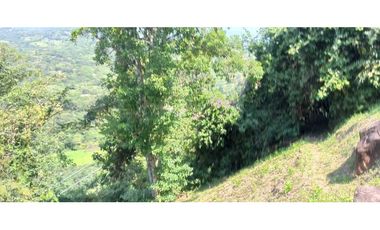 Finca Con Hermosa Vista - Para Proyecto Turístico
