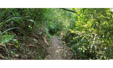 Finca Con Hermosa Vista - Para Proyecto Turístico