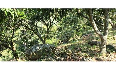 Finca Con Hermosa Vista - Para Proyecto Turístico