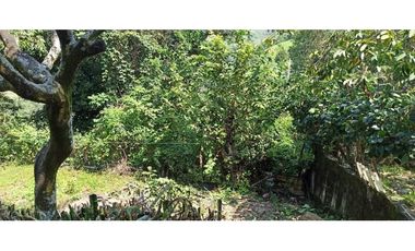 Finca Con Hermosa Vista - Para Proyecto Turístico