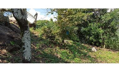 Finca Con Hermosa Vista - Para Proyecto Turístico
