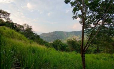 Oportunidad Vendo Finca para Condominio entre La Mesa-Anapoima