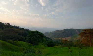 Oportunidad Vendo Finca para Condominio entre La Mesa-Anapoima