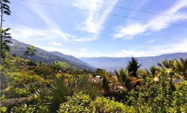 Venta Casa Finca Copacabana Zarzal P1 C6560051