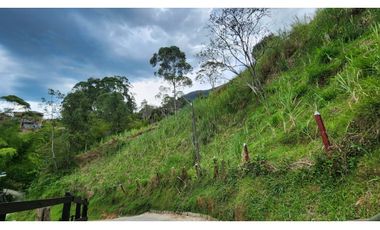 Venta de finca en San Antonio de Prado
