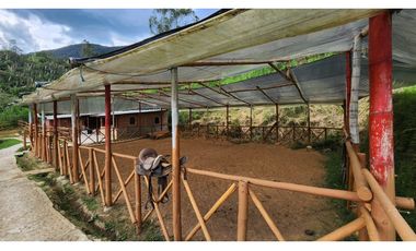 Venta de finca en San Antonio de Prado