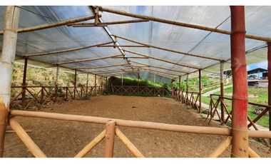 Venta de finca en San Antonio de Prado