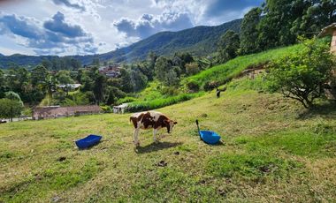 Venta de finca en San Antonio de Prado