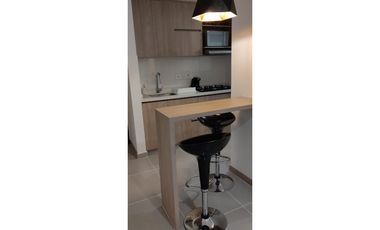 Arrendamiento Apartaestudio, Alta Suiza