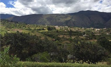 ALQUILO CABAÑAS SECTOR TORDOYA - VILLA DE LEYVA
