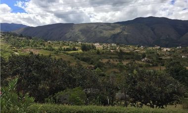 ALQUILO CABAÑAS SECTOR TORDOYA - VILLA DE LEYVA