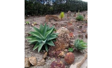 ALQUILO CABAÑAS SECTOR TORDOYA - VILLA DE LEYVA