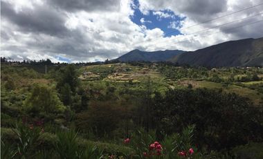 ALQUILO CABAÑAS SECTOR TORDOYA - VILLA DE LEYVA