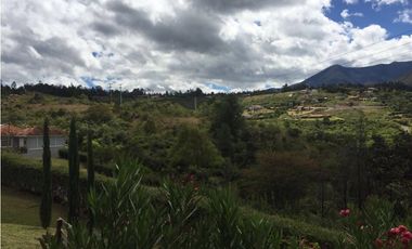 ALQUILO CABAÑAS SECTOR TORDOYA - VILLA DE LEYVA
