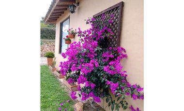 ALQUILO CABAÑAS SECTOR TORDOYA - VILLA DE LEYVA