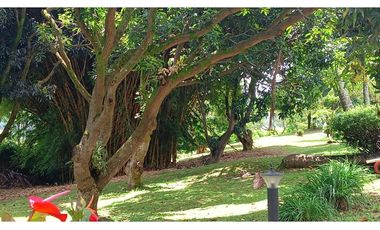 EXCELENTE FINCA GIRARDOTA SECTOR EL YARUMO