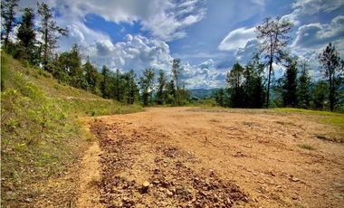 Venta Lote Parcelacion El Retiro