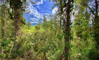 Venta Lote Parcelacion El Retiro