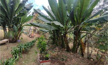casa, finca en Medellín, santa Elena, rodeada de Naturaleza