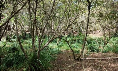 casa, finca en Medellín, santa Elena, rodeada de Naturaleza