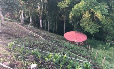 SE VENDE CASA CAMPESTRE VIA  ALCALA EN PARCELACION