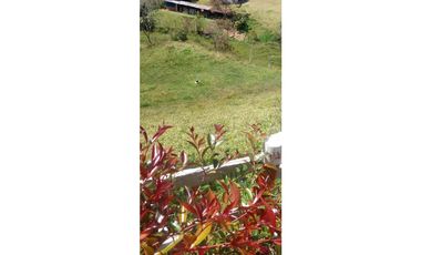 VENTA DE FINCA 3000 mts2 SANTUARIO VEREDA CRUCES