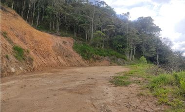 Venta de lote en Barbosa