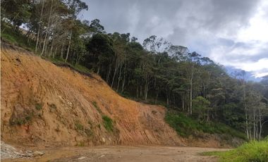Venta de lote en Barbosa