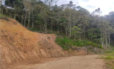 Venta de lote en Barbosa