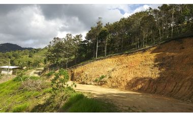 Venta de lote en Barbosa