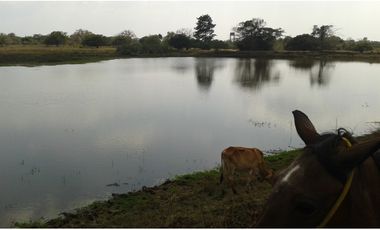 FINCA EN VENTA, MAHATES, BOLIVAR