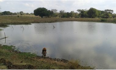 FINCA EN VENTA, MAHATES, BOLIVAR