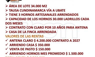 *VENTA LOTE LADRILLERA RENTANDO EN TAUSA