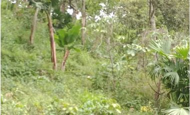 Lote en San Jerónimo, Antioquia en venta