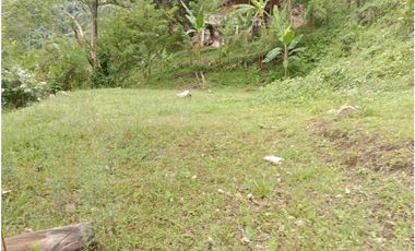 Lote en San Jerónimo, Antioquia en venta